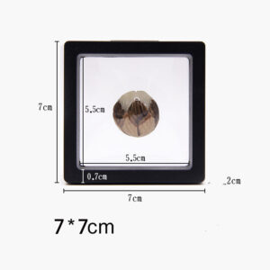 Floating Display Frame — Black, 7 cm